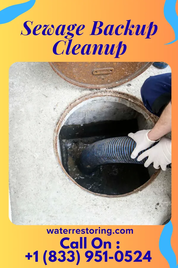 Sewage Backup Cleanup in Harrisville, WI