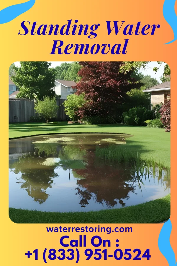 Standing Water Removal in Harrisville, WI